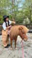 ＜愛犬がポニー乗馬体験！？＞ここでしかできなutf-8