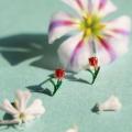 花それぞれが素敵な意味を持つ「花言葉」をモチーフに