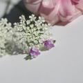 花それぞれが素敵な意味を持つ「花言葉」をモチーフに