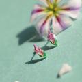 花それぞれが素敵な意味を持つ「花言葉」をモチーフに