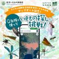 東京いきもの台帳 第2弾！「クモ目録」「セミ目録」を