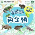 東京いきもの台帳 第2弾！「クモ目録」「セミ目録」を