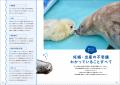 【アザラシ足りてますか？】水族館から野生の姿までか