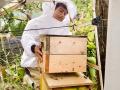 自然共生サイト・相知町横枕自然共生区域からはじまる