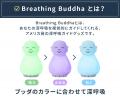 【無になれるブッダ第2弾】その不調、呼吸が浅いから