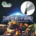 広島から宇宙へ！！被爆80年の節目に平和への願utf-8