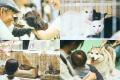 「パナソニック保護犬猫譲渡会2025」開催イベントレポ