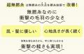 【今治発！】今治市の魅力を全国に発信する地域商社「