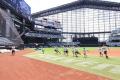夏休みの自由研究にピッタリ！北海道ボールパークFビ