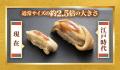 【にぎりの徳兵衛・海鮮アトム】14日間限定！全品《赤
