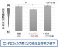 エンメイソウエキスが皮膚常在菌エンテロコッカスによ