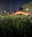 【賀茂しょうぶ園】愛知県内で最大規模！豊橋市の初夏