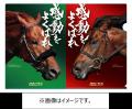 6月８日（日）安田記念（GI）当日、TCK×JRAコラボイベ