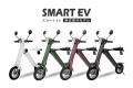 【走る広告塔】(株)ブレイズの２輪電動バイクに、企業