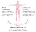 生物学的年齢検査「エピクロック(R)テスト」、取扱医