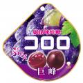 UHA味覚糖「コロロを買って川村壱馬＆吉野北人のイベ