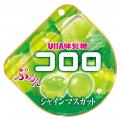 UHA味覚糖「コロロを買って川村壱馬＆吉野北人のイベ