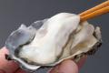 特報!!【国産の生牡蠣が驚愕の税込100円】１日で１万2