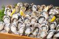 特報!!【国産の生牡蠣が驚愕の税込100円】１日で１万2
