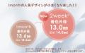 「瞳に光を取り入れ続ける ただひとつの2week」アンジ
