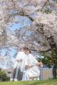 満開に咲きほこる桜とふたりの笑顔。札幌中島公園で叶