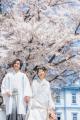 満開に咲きほこる桜とふたりの笑顔。札幌中島公園で叶