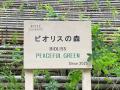 「BIOLISS PEACEFUL GREEN」プロジェクト※１第4回植樹
