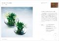 植物の魅力を最大化した独自のフローラルアートを、発