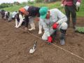 地域とサポーターで育む４０万本のひまわり畑