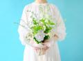 第一園芸の「父の日ギフト」と6月のレコメンドフラワ