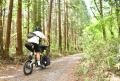 自転車で旅する魅力を凝縮！ 『自転車日和』特別編集 