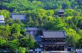京都の世界遺産 仁和寺にて夏限定切り絵御朱印「五重