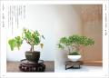 日本で唯一の「種木屋」である塩津植物研究所が誰もが
