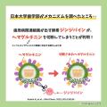 日本私立歯科大学協会とEPARKグループの連携事業開始