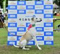 2日間で143組のワンちゃんとペットオーナーさんが参加