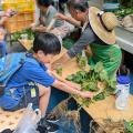 “夏先取り”イベント！産地直送の新鮮な朝採れ夏野菜が