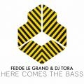 Fedde Le Grand × DJ TORAによる世界規模のコラボ楽曲