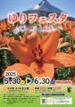 15万輪のゆりが咲く公園で楽しむ一ヶ月：ゆりフェスタ