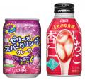 ダイドードリンコが「スーパー耐久第3戦 NAPAC富士24