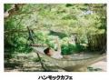 六甲高山植物園×伊丹市昆虫館 夏イベント「しょくぶつ