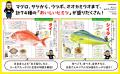 もっと魚が好きになる！ もっと魚を食べたくなる！ 子