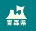 『弘前ねぷた in 神戸2025』神戸ハーバーランド高浜岸