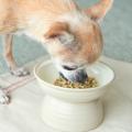 犬猫生活、海外展開をスタート　5月からドッグフード
