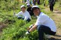 ワタミ、陸前高田市「ワタミの森」にて森開き式及び第