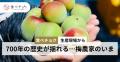 食べチョク、梅の流通額が1.8倍に拡大。7割の生産者が