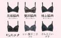 「下着でこんなに変わるんだ」が静岡でも体験できる！