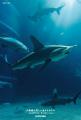 日本のすごすぎる水族館の世界！　SNSで話題の新進気
