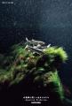 日本のすごすぎる水族館の世界！　SNSで話題の新進気