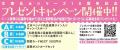 【文庫版第2巻！】春の到来と共に、「お試し婚」の二