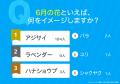 6月といえば？みんながイメージする行事・花・食べ物